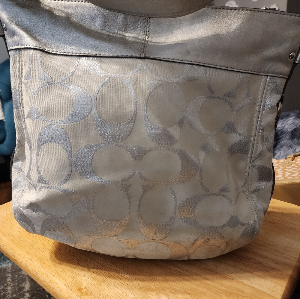 Authentic Silver Coach - image 5